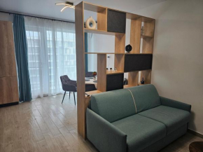 Family Apartament Mamaia